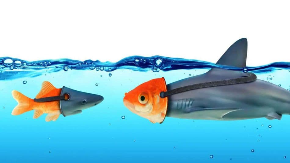 Sobre la forma, el fondo y la doble vara