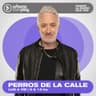 "EL ARTE DE ESTAR EN PAREJA es acompañar aquellos sueños que a vos te importan poco": GABRIEL ROLÓN