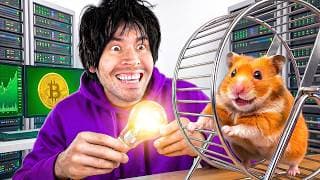 Farmeando Hamsters Por Electricidad ILIMITADA!! ⚡️