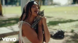 Angela Leiva - Gato