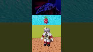 roblox best gameplay