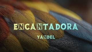 Yandel - Encantadora (Lyrics/Letra)