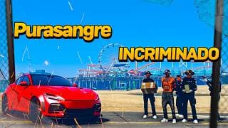 Ordenamos Una Purasangre Para Burlar A Los INCRIMINADORES