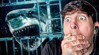 EN LA PROFUNDIDAD CON UN MEGALODÓN