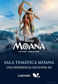 MOANA - SALA TEMATICA