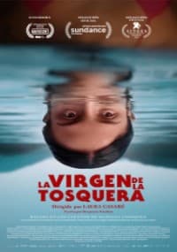 LA VIRGEN DE LA TOSQUERA