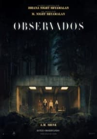 OBSERVADOS